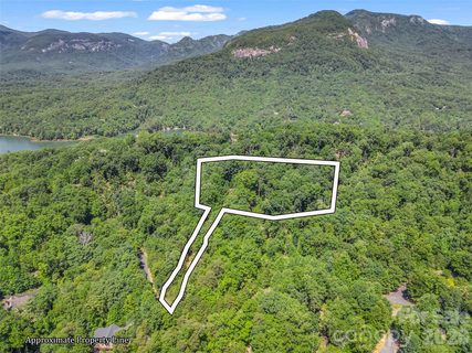 0 Hawks Nest Trail active home in Rumbling Bald On Lake Lure, Lake Lure, NC