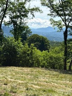 38 Sleepy Hollow Drive active home in Avalon, Waynesville, NC