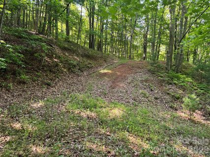 856 Stoney Stream Lane active lot in Avery Park, Arden, NC