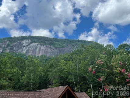 282 Quail Ridge Road active home in Rumbling Bald On Lake Lure, Lake Lure, NC