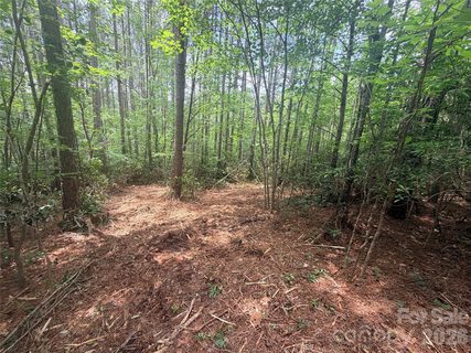 0 Gold Creek Point pending home in High Lodges At Otter Creek, Union Mills, NC