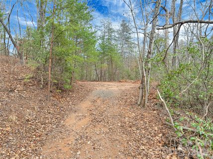 Tbd Deep Woods Lane active home in Piney Mountain, Saluda, NC