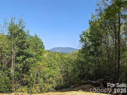 171 Nuthatch Lane active home in Creston, Black Mountain, NC