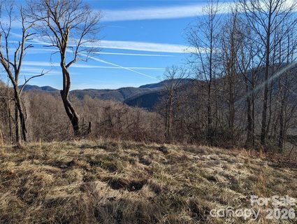 117 Ironwood Lane active home in Creston, Black Mountain, NC