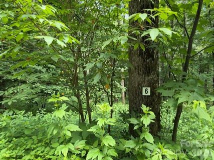 Lot 6 Gadohi Trail active home in Smoky Mountain Retreat At Eagles Nest, Maggie Valley, NC