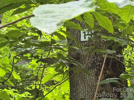 Lot 19 Iga Trail active home in Smoky Mountain Retreat At Eagles Nest, Maggie Valley, NC