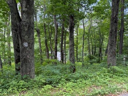 Lot 21 Odalu Trail active home in Smoky Mountain Retreat At Eagles Nest, Maggie Valley, NC