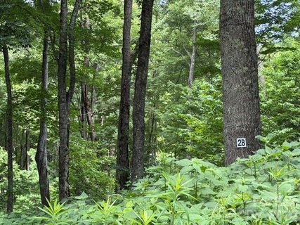 Lot 28 Toi Trail active home in Smoky Mountain Retreat At Eagles Nest, Maggie Valley, NC