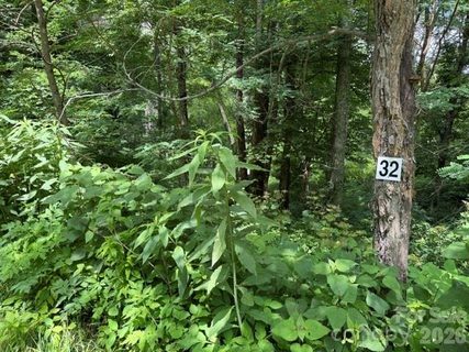 Lot 32 Toi Trail active home in Smoky Mountain Retreat At Eagles Nest, Maggie Valley, NC