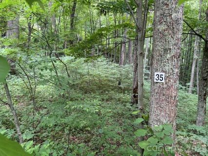 Lot 35 Odalu Trail active home in Smoky Mountain Retreat At Eagles Nest, Maggie Valley, NC