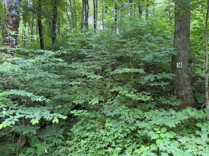 Lot 38 Yanasa Trail active home in Smoky Mountain Retreat At Eagles Nest, Maggie Valley, NC