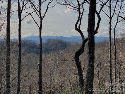 Lot 12 Cummings Cove Parkway active lot in Cummings Cove, Hendersonville, NC