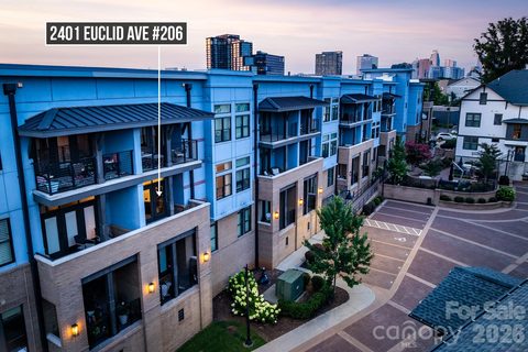 Homes in Dilworth South, Charlotte