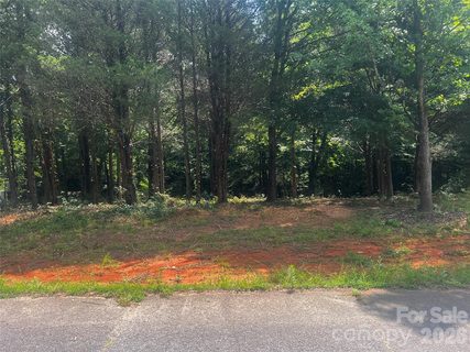 10376 Turnplow Drive active lot in Frazier Acres, Davidson, NC