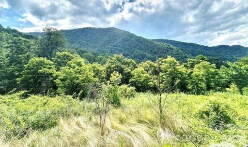 00 Split Pine Cove pending home in Split Pine Estates, Clyde, NC