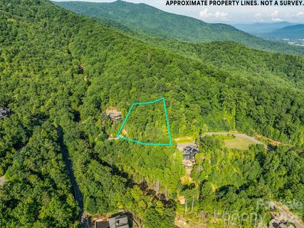 59 Old Greybeard Loop active home in The Settings Of Black Mountain, Black Mountain, NC