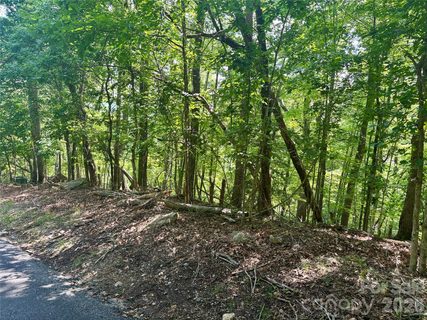 Lot 13 Crab Apple Court active home in Rumbling Bald On Lake Lure, Lake Lure, NC