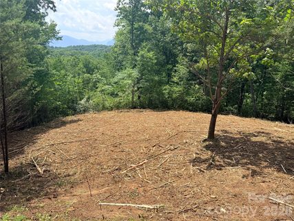 0 Rock Ledge Drive active home in Vista At Bills Mountain, Lake Lure, NC