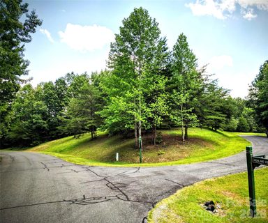 00 Fallen Tree Lane