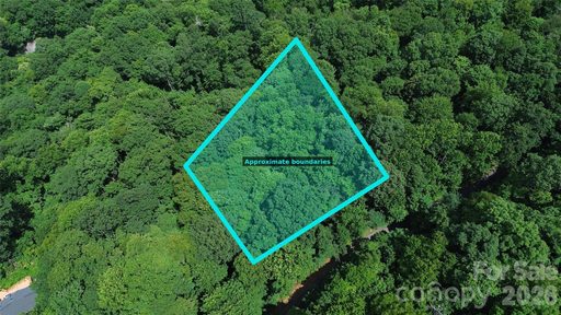7 White Birch Court active home in Laurel Ridge, Black Mountain, NC