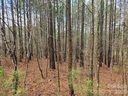 225 Cove Wood Drive sold home in Denton, SC