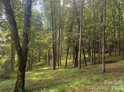 89 Split Rock Trail active home in The Cliffs At Walnut Cove, Arden, NC