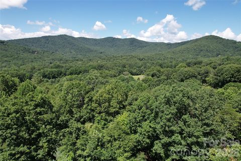 1545 Country View Way active home in The Cliffs At Walnut Cove, Arden, NC