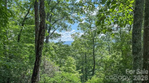 Tbd Stone Drive active lot in Deerlake Village, Brevard, NC