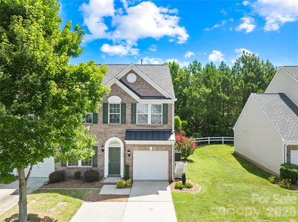 Homes in Palmetto Traces, Fort Mill