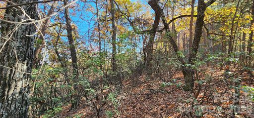 Lot 22 A Pinnacle Parkway active home in Pinnacle Ridge, Union Mills, NC