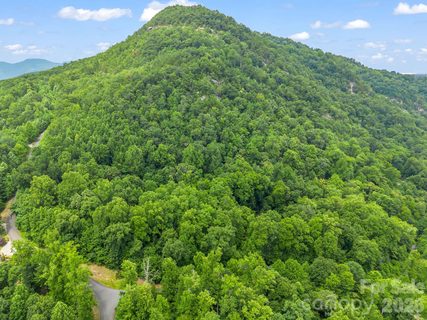 Lot 29 Matho Trace active home in Rumbling Bald On Lake Lure, Lake Lure, NC