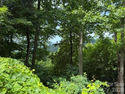 Lot 22 Spring Rock Road active home in Mountain Air, Burnsville, NC