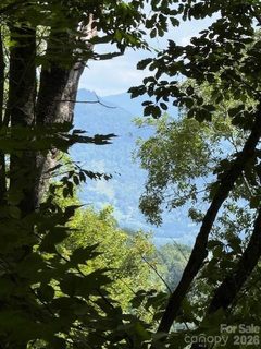 110 Cabin Ridge active home in Avalon, Waynesville, NC