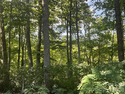 Lot 67 Treetops Lane active home in Rumbling Bald On Lake Lure, Lake Lure, NC
