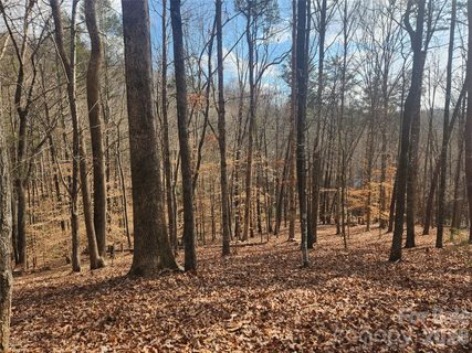 Lot 83 Walnut Lane active home in Rumbling Bald On Lake Lure, Lake Lure, NC
