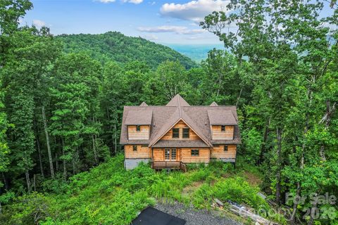 266 Potomac Falls Drive pending home in Catawba Falls Preserve, Black Mountain, NC