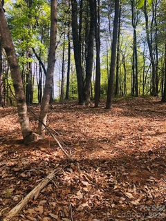 Lot 7 Gold Run Drive active home in Leatherwood Mountains, Ferguson, NC