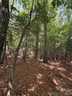 Tbd Dvga Court sold home in Brevard, SC