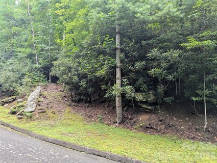 Homes in Mountain Retreat, Montreat