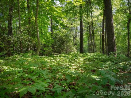 Lot 161 Eagle Lake Drive active lot in Eagle Lake, Brevard, NC