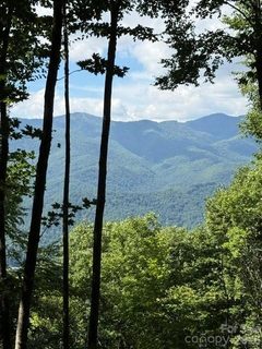 140 Boar Ridge Road active lot in Balsam Mountain Preserve, Sylva, NC