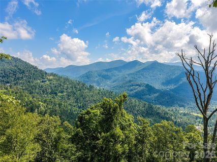 36 Cary Lane active lot in Peach Knob Meadows, Asheville, NC