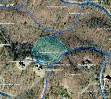 230 White Rapid Road active lot in French Broad Crossing, Marshall, NC