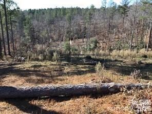 2072 Snowmass Drive active lot in Lakeside Reserve, Connelly Springs, NC