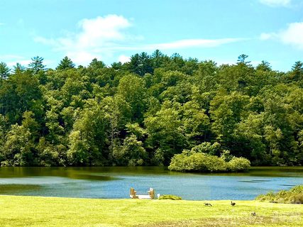 Homes in Deerlake Village, Brevard