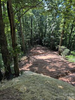 97 Hosta Drive active lot in Cane Creek Ridge, Sylva, NC