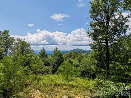 Homes in Hickory Acres, Hendersonville