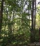Lot 25 Bluebird Terrace sold home in Lake Lure, SC