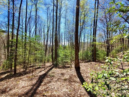 Lot 9 Hemlock Falls Drive active lot in Hemlock Falls, Sylva, NC