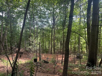 210 240 Gobbler Circle active lot in Turkey Pen Gap, Horse Shoe, NC